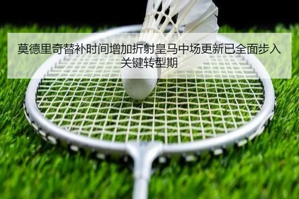 img_1784165712115_312_1_619.jpg